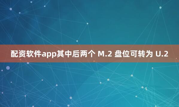 配资软件app其中后两个 M.2 盘位可转为 U.2
