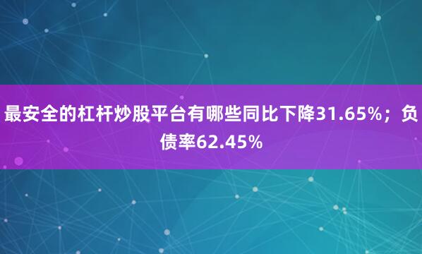 最安全的杠杆炒股平台有哪些同比下降31.65%;负债率62.45%