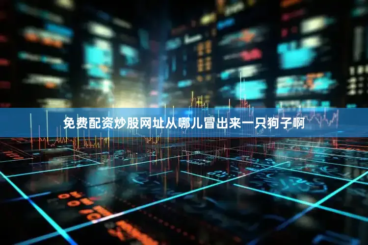 免费配资炒股网址从哪儿冒出来一只狗子啊