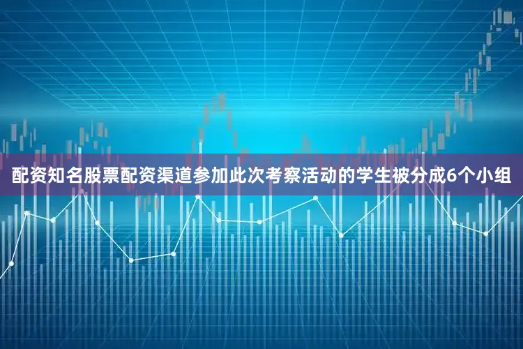 配资知名股票配资渠道参加此次考察活动的学生被分成6个小组