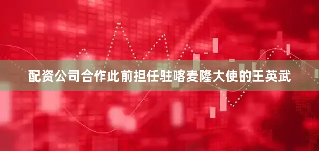 配资公司合作此前担任驻喀麦隆大使的王英武