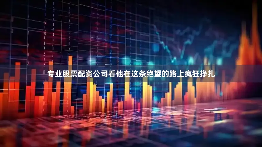 专业股票配资公司看他在这条绝望的路上疯狂挣扎